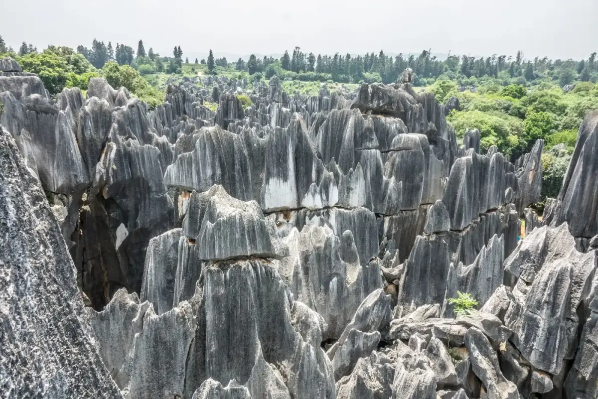 Walking between towering karst pillars inside the Greater Stone Forest labyrinth