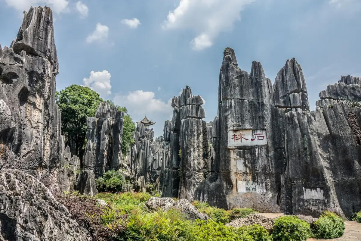 Dark weathered Naigu Stone Forest pinnacles rising from grassland